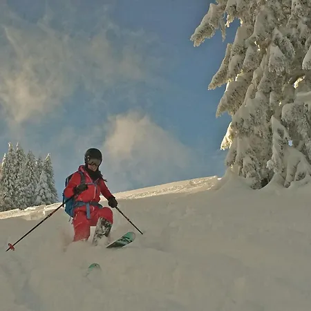 4 Saisons 4* Ovronnaz