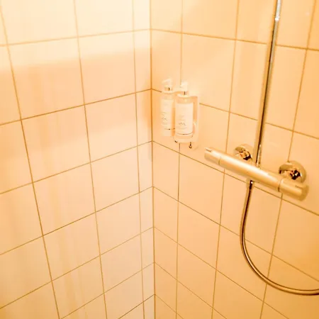 4 Saisons Hotell Ovronnaz