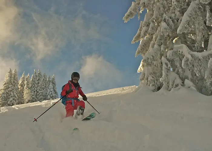 4 Saisons 4* Ovronnaz