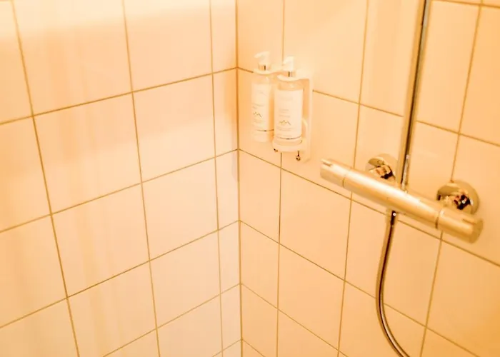 4 Saisons Ξενοδοχείο Ovronnaz