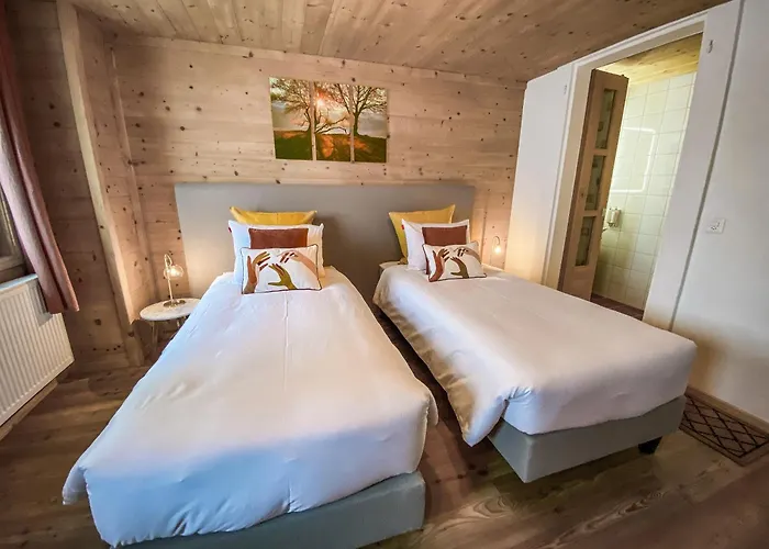 4 Saisons Ξενοδοχείο Ovronnaz