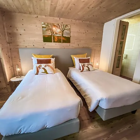 4 Saisons Hotel Ovronnaz